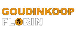 Logo V9